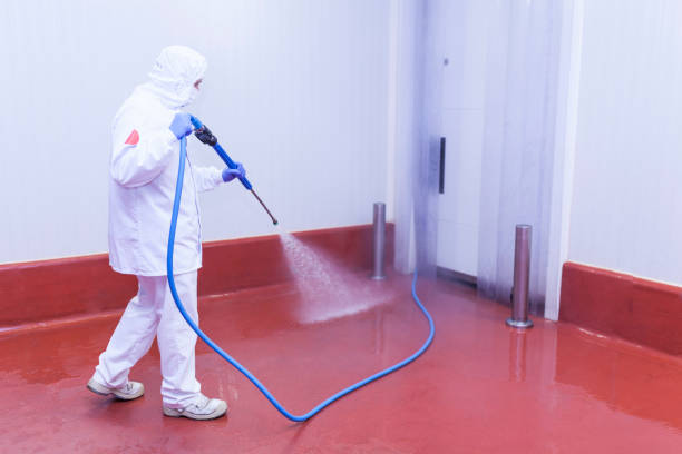 Pre-Holiday Cleaning in Belvidere, IL