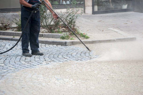 Best Sidewalk and Walkway Cleaning  in Belvidere, IL