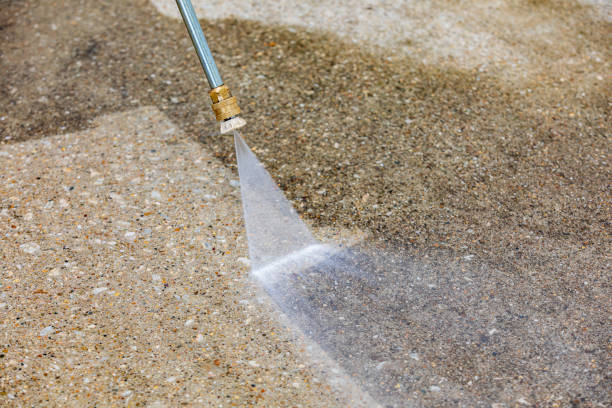Best Animal Enclosure Cleaning  in Belvidere, IL