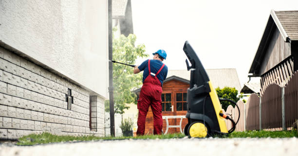 Best Graffiti Removal  in Belvidere, IL